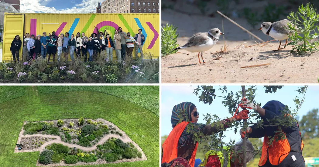 خوانندگان پروژه های دوستدار محیط زیست را که در جوامعشان اتفاق می افتد به اشتراک می گذارند