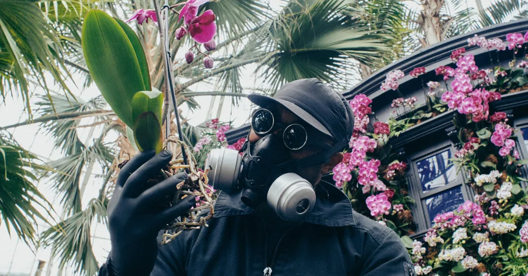 Who Is That Masked Man? The Orchids Aren’t Telling.